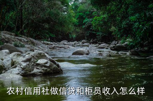 湖北省農村信用社柜員待遇怎么樣,農村信用社是什么性質的單位