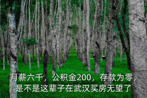 月薪六千，公積金200，存款為零，是不是這輩子在武漢買房無望了