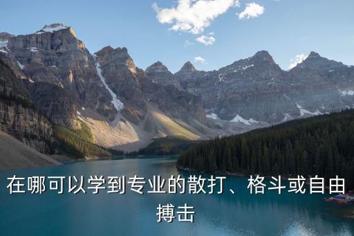 在哪可以學(xué)到專業(yè)的散打、格斗或自由搏擊