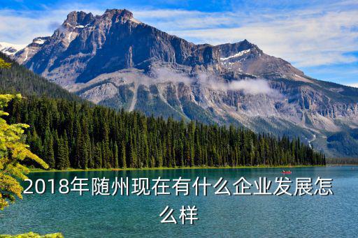 隨州正大現在怎么樣,隨州現在復工情況怎么樣