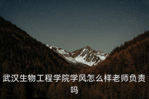 武漢生物工程學院學風怎么樣老師負責嗎