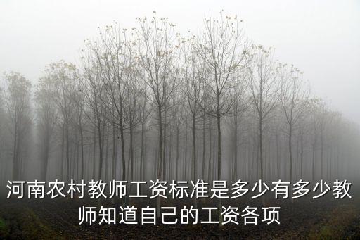 河南農村教師工資標準是多少有多少教師知道自己的工資各項