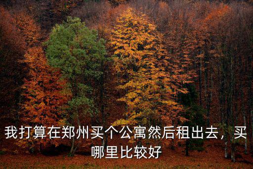 我打算在鄭州買個公寓然后租出去，買哪里比較好