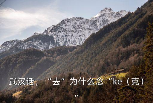 武漢話蟑螂怎么念,蟑螂用你的家鄉(xiāng)話怎么講