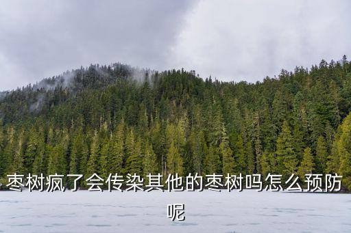 湖北棗樹是怎么傳染的,棗樹的棗瘋病怎么治