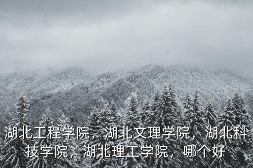 湖北工程學(xué)院，湖北文理學(xué)院，湖北科技學(xué)院，湖北理工學(xué)院，哪個(gè)好