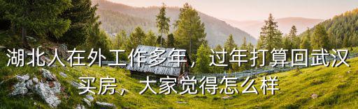 湖北人在外工作多年，過(guò)年打算回武漢買(mǎi)房，大家覺(jué)得怎么樣