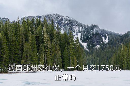 河南鄭州交社保，一個月交1750元正常嗎