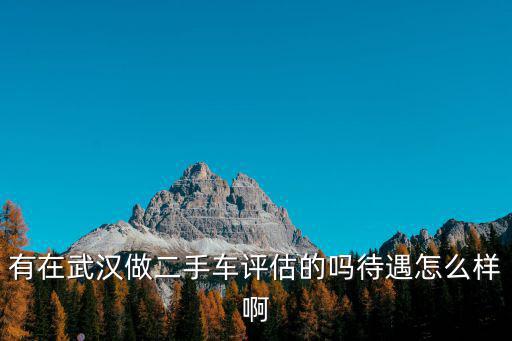 有在武漢做二手車評(píng)估的嗎待遇怎么樣啊
