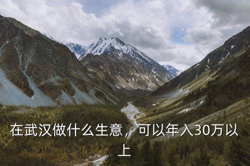 在武漢做什么生意，可以年入30萬以上