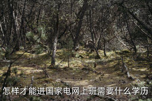 怎樣才能進國家電網(wǎng)上班需要什么學歷