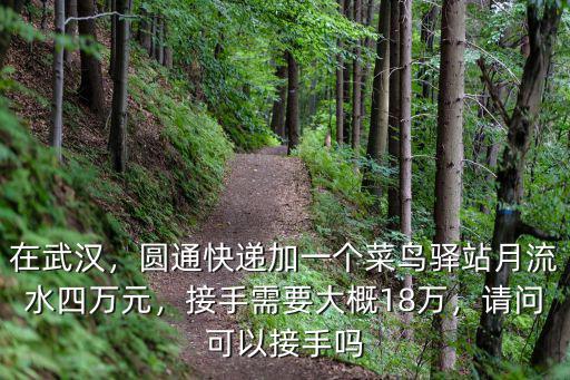 在武漢，圓通快遞加一個菜鳥驛站月流水四萬元，接手需要大概18萬，請問可以接手嗎