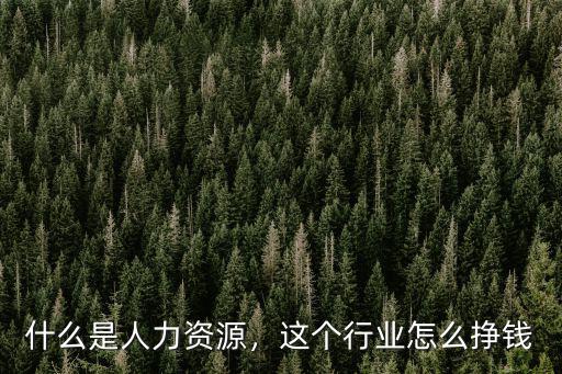 什么是人力資源，這個行業怎么掙錢