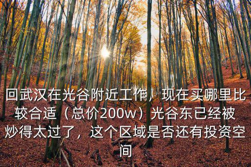 回武漢在光谷附近工作，現(xiàn)在買哪里比較合適（總價(jià)200w）光谷東已經(jīng)被炒得太過了，這個(gè)區(qū)域是否還有投資空間