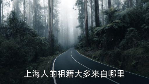 上海人的祖籍大多來自哪里