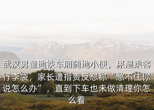 武漢地鐵小孩子怎么收費,武漢男童地鐵車廂隨地小便