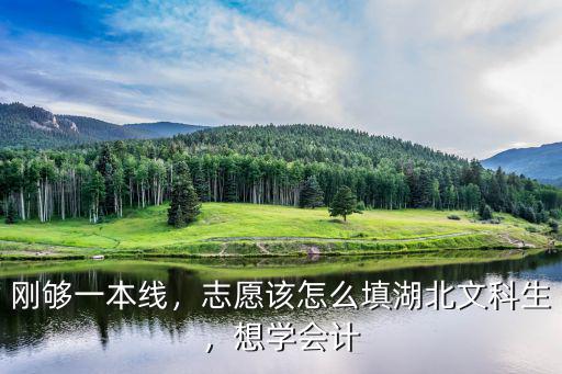 剛夠一本線，志愿該怎么填湖北文科生，想學(xué)會(huì)計(jì)