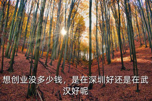 想創(chuàng)業(yè)沒多少錢，是在深圳好還是在武漢好呢