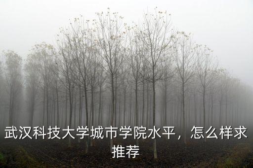 武漢弗頓科學怎么樣,武漢科技大學怎么樣