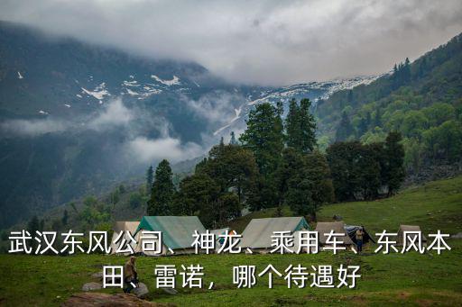 武漢東風(fēng)河西工資怎么樣,武漢東風(fēng)汽配廠待遇怎么樣