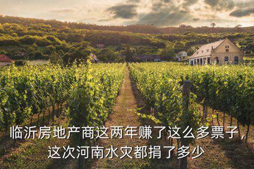 臨沂房地產商這兩年賺了這么多票子，這次河南水災都捐了多少