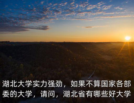 湖北大學實力強勁，如果不算國家各部委的大學，請問，湖北省有哪些好大學