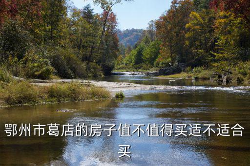 鄂州市葛店中學(xué)怎么樣,在葛店買(mǎi)房怎么樣