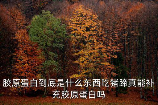 膠原蛋白到底是什么東西吃豬蹄真能補充膠原蛋白嗎