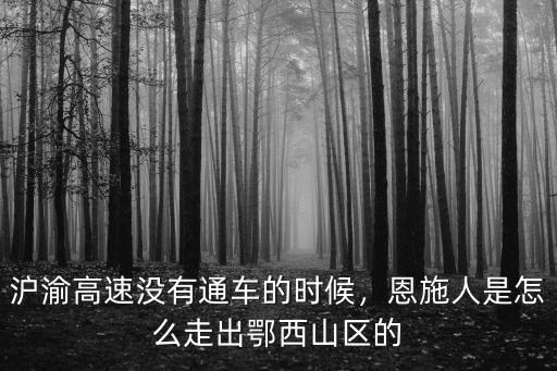 恩施高速發(fā)展怎么樣,湖北恩施發(fā)展的怎么樣
