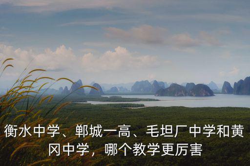 衡水中學、鄲城一高、毛坦廠中學和黃岡中學，哪個教學更厲害