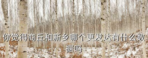商丘哪里發達,你覺得商丘和新鄉哪個更發達