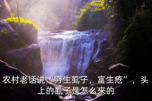 農村老話說“窮生虱子，富生瘡”，頭上的虱子是怎么來的