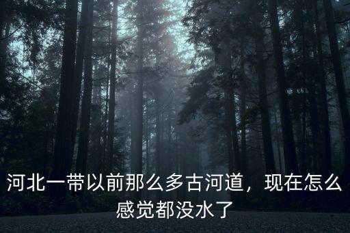 周口地區(qū)河道怎么沒(méi)水了,現(xiàn)在怎么感覺(jué)都沒(méi)水了