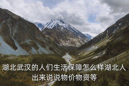 湖北武漢的人們生活保障怎么樣湖北人出來說說物價物資等