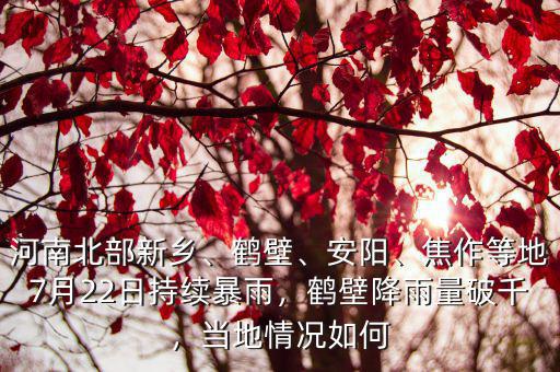 河南北部新鄉、鶴壁、安陽、焦作等地7月22日持續暴雨，鶴壁降雨量破千，當地情況如何