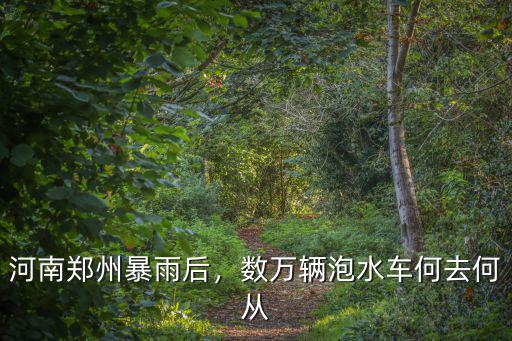 河南鄭州暴雨后，數(shù)萬輛泡水車何去何從