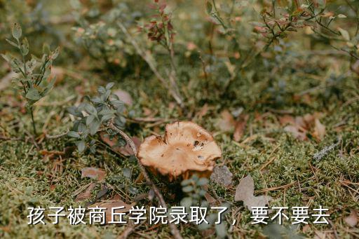 商丘紅孩子童鞋怎么樣,商丘學(xué)院怎么樣
