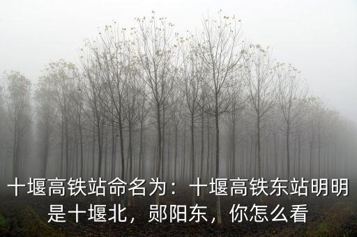 十堰高鐵站命名為：十堰高鐵東站明明是十堰北，鄖陽東，你怎么看