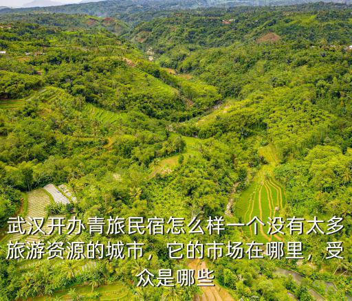 在武漢投資賓館怎么樣,武漢開辦青旅民宿怎么樣