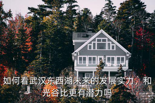 如何看武漢東西湖未來的發展實力，和光谷比更有潛力嗎