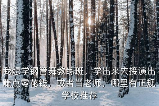 我想學鋼管舞教練班，學出來去接演出賺點零花錢，或者當老師，哪里有正規學校推薦