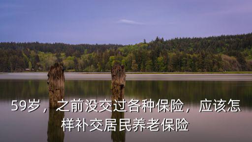 59歲，之前沒交過各種保險，應該怎樣補交居民養老保險