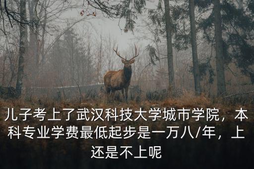 兒子考上了武漢科技大學(xué)城市學(xué)院，本科專業(yè)學(xué)費最低起步是一萬八/年，上還是不上呢