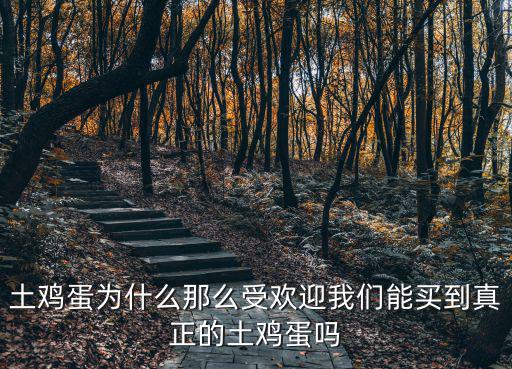土雞蛋為什么那么受歡迎我們能買到真正的土雞蛋嗎