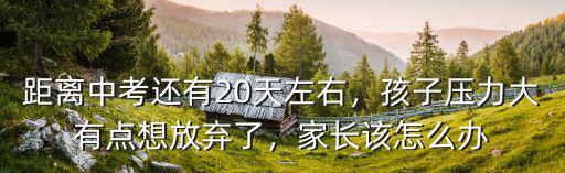 距離中考還有20天左右，孩子壓力大有點想放棄了，家長該怎么辦