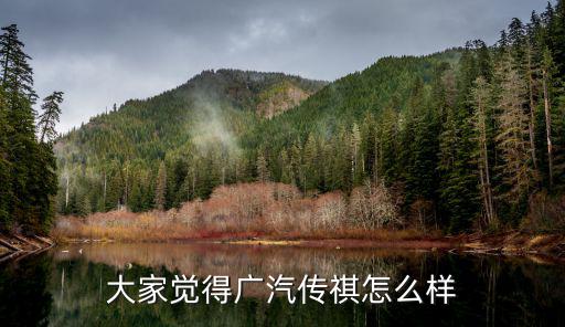 大家覺(jué)得廣汽傳祺怎么樣