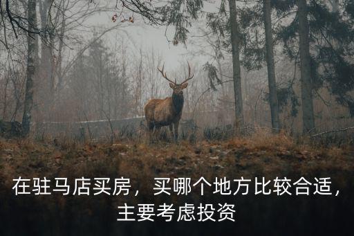 在駐馬店買房，買哪個地方比較合適，主要考慮投資