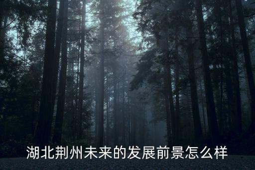 湖北荊州未來(lái)的發(fā)展前景怎么樣