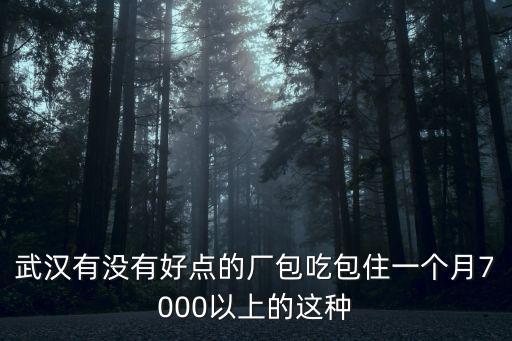 武漢有沒有好點(diǎn)的廠包吃包住一個(gè)月7000以上的這種