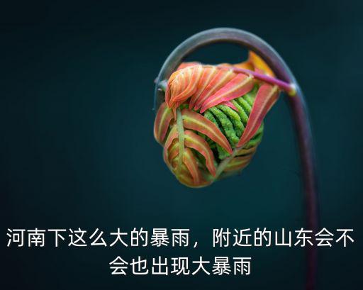 河南下這么大的暴雨，附近的山東會不會也出現大暴雨